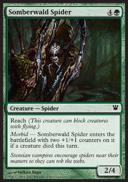 Somberwald Spider