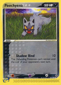 Poochyena (Shadow Bind)