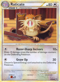 Raticate