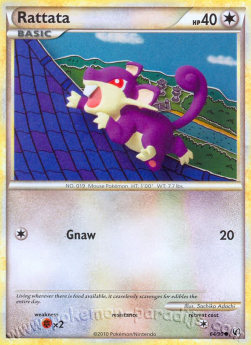 Rattata