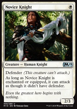 Novice Knight