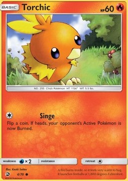 Torchic