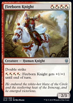 Fireborn Knight