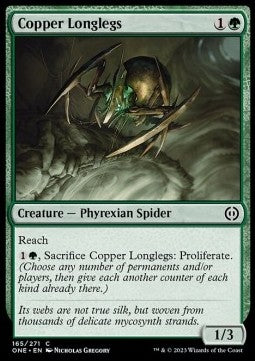 Copper Longlegs