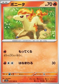 Ponyta