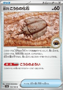 Antique Dome Fossil