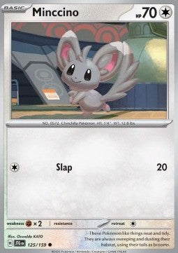 Minccino