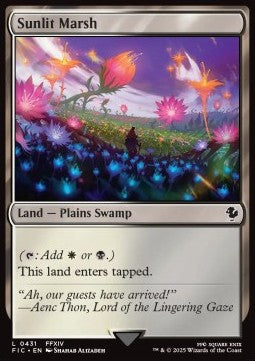 Sunlit Marsh