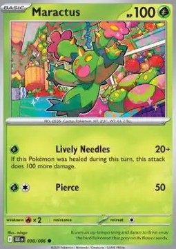 Maractus