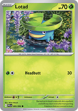 Lotad