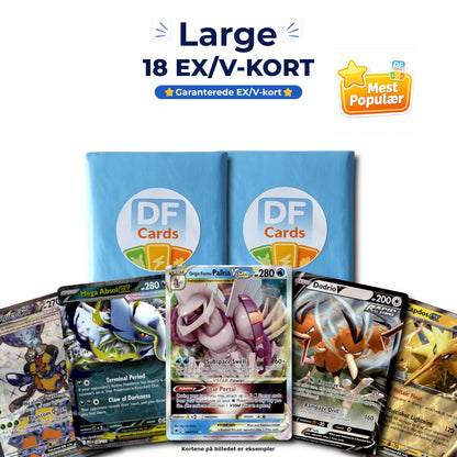 EX/V Komplet